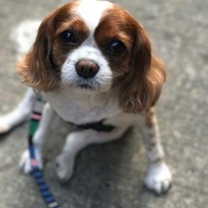 Meet your Posher, Katherine